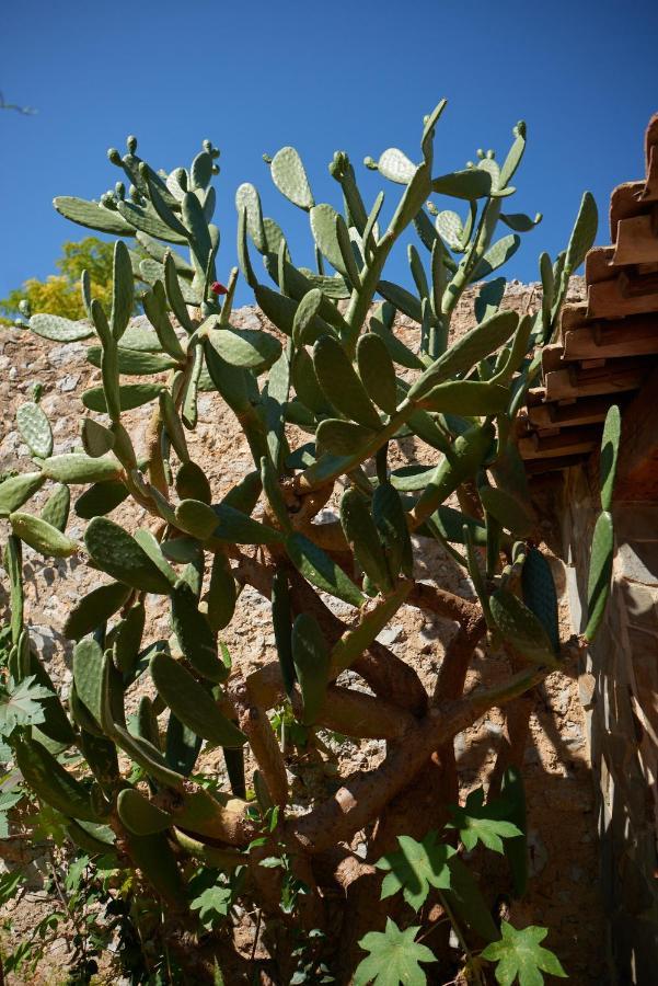 Jardin De Palme Διαμέρισμα La Palme Εξωτερικό φωτογραφία