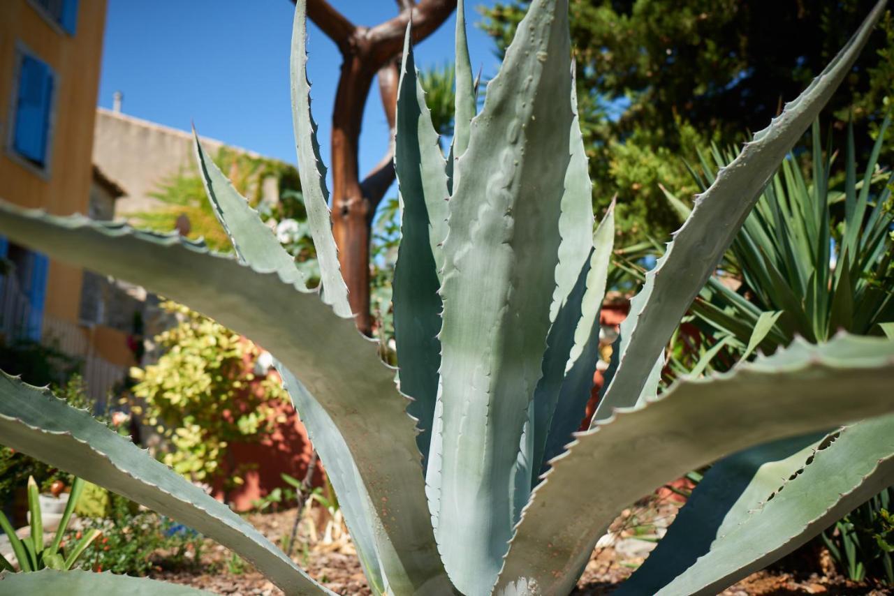 Jardin De Palme Διαμέρισμα La Palme Εξωτερικό φωτογραφία