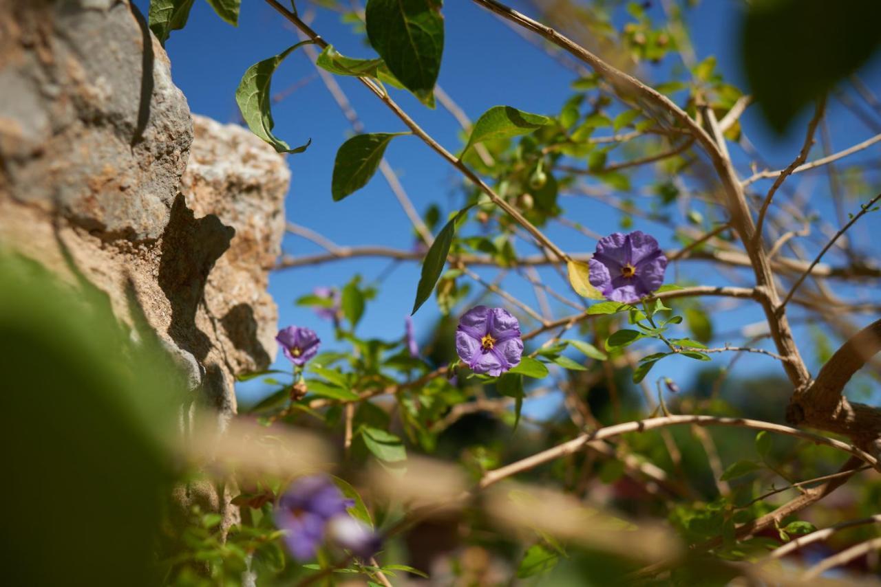 Jardin De Palme Διαμέρισμα La Palme Εξωτερικό φωτογραφία